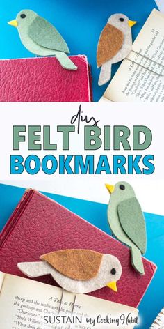 felt bird bookmarks made out of books with text overlay that says felt bird bookmarks