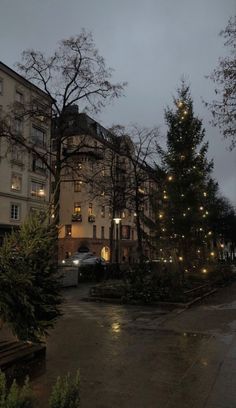 the street is lined with trees and lights