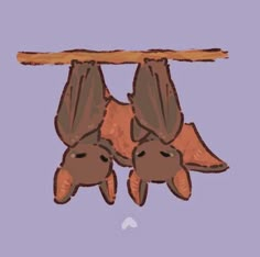 two brown bats hanging upside down on a tree branch in front of a purple background