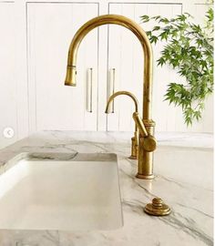 a kitchen sink sitting under a faucet next to a counter top with a potted plant