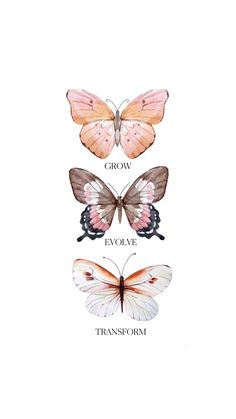 four different butterflies with the words grow, overcome and transform written on each butterfly's wings