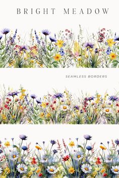 three different images of wildflowers and grasses with the words bright meadow on them