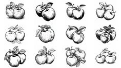 an image of apples drawn by hand in black and white ink on paper, set of nine