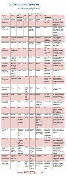 a table that has different types of food and drinks on it, with the names of each