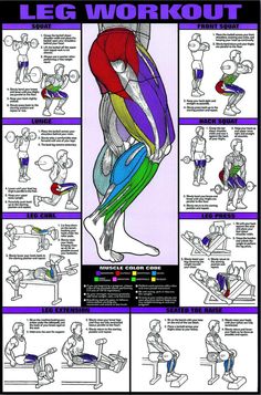 a poster with instructions on how to do the leg workout in front of a white background