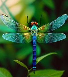 a blue dragonfly sitting on top of a green plant