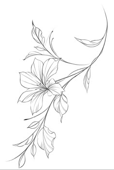 a line drawing of flowers on a branch with leaves in the middle and one flower at the top