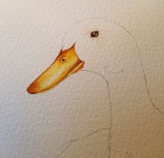 a drawing of a duck with an orange beak