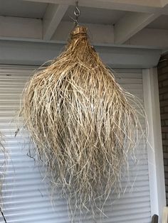 a plant hanging from the ceiling in front of a garage door