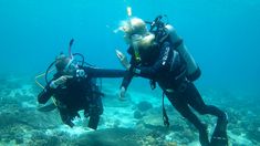 two people in scuba gear standing on the bottom of a coral reef and looking at something