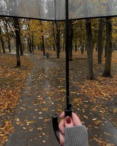 a person holding an umbrella in the middle of a park with leaves on the ground