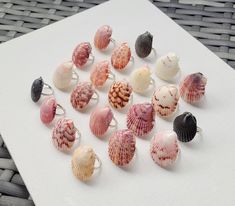 a bunch of seashells sitting on top of a white piece of paper next to each other