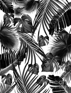 a black and white photo of tropical leaves on a wall hanging in a bedroom or living room