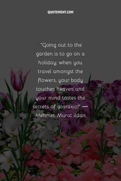 Let’s read an inspiring collection of garden quotes that will remind us of the wisdom, beauty, and life lessons found in the petals and greenery of a garden! Reading Garden, Happy Birthday Quotes, Love Your Life, Birthday Quotes, Drawing For Kids, Happy Quotes