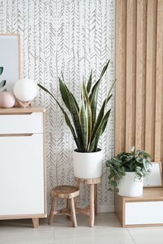 a room with some plants on the floor and a white wall behind it in front of a mirror