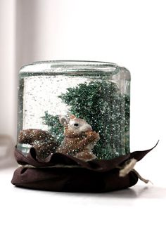 a glass jar filled with snow and a squirrel inside