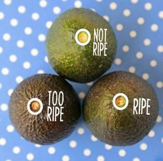 three avocados with the words not ripe and too ripe