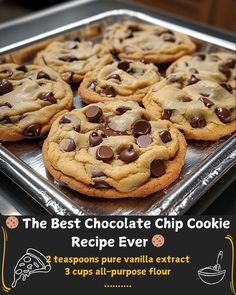 the best chocolate chip cookie recipe ever