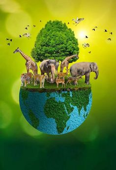 there are many animals that are standing on top of the earth