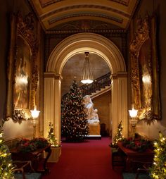 a christmas tree is in the middle of a hallway with red carpet and gold trimmings