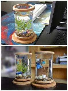 two glass jars filled with water and rocks