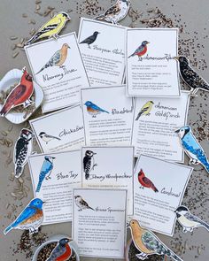 several birds are shown on top of some seed seeds and paper cards with information about them