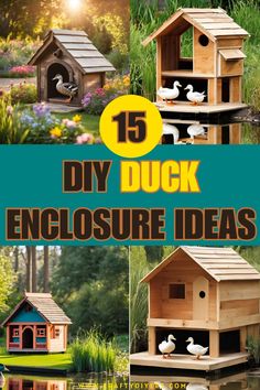 the cover of 15 diy duck enclosures and bird houses for sale in stores