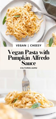 vegan pasta with pumpkin alfredo sauce is on a white plate and has a fork in it