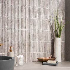 a bathroom with a sink, soap dish and bamboo plant