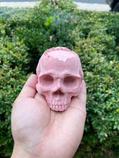 a hand holding a small pink skull in front of bushes