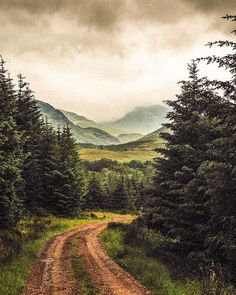 a dirt road in the middle of a forest with mountains in the backgroud