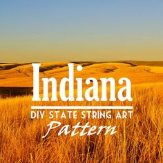 the words indiana diy state string art pattern in front of an image of a field