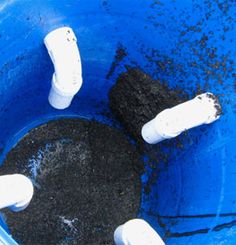 there are two white pipes in the blue buckets with black stuff on them, and one pipe is sticking out of the ground