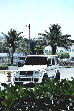 a white suv parked in front of some palm trees