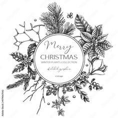 a christmas card with holly and pine branches