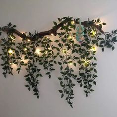 a branch with green leaves and lights hanging from it's sides on the wall