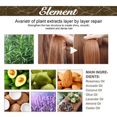 EELHOE Dense Hair Essential Oil Repairs Hair Damage Prevents Hair Loss Softens Nourishes Hair And Rosemary Hair Growth, Quick Hair Growth, Essential Oil Hair Growth, Rosemary Hair, Natural Hair Growth Oil, Growing Healthy Hair, Rosemary Oil For Hair, Hair Care Oil, Natural Hair Oils