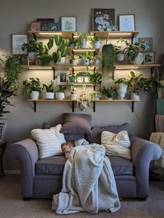 #Plantwall #cozyroom #growlights #plants #houseplants #stringofpearls #hoya #indoorplants #plantroom #anniequigleyart Plant Decor Shelves, Plant Shelving With Grow Lights, Bedroom House Plants Inspiration, Apartment With Plants Living Rooms, Plant And Light Decor, Plant Decor With Lights, Succulents On Shelves, High Ceiling Living Room Plants, Plants Indoor Design Living Room