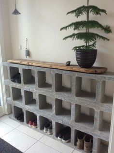 a potted plant sitting on top of a cement block shelf