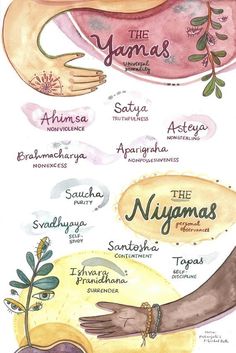 an illustrated poster with the names of different types of women's arms and hands