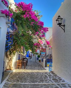 an alley way with pink flowers on the trees