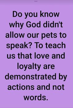 a quote that reads do you know why god didn't allow our pets to speak?