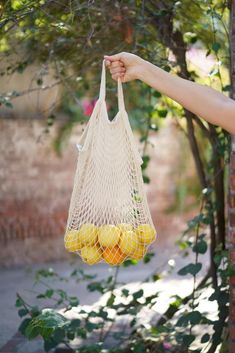 a person holding a net bag full of oranges