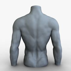 the back of a man's body is shown with no shirt on, and it appears to be gray