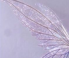 an artistic photo of a fairy wing in purple and white colors with sparkles on the wings