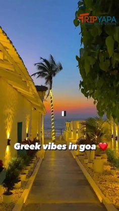 a walkway leading to the beach with palm trees on either side and words that read greek vibes in goa