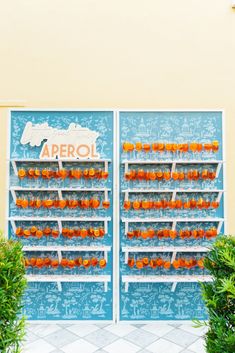 there are many oranges on the shelves in front of this storefront door that says aerol