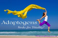 Adaptogens: Herbs for Vitality | deliciousobsessions.com Herbalism 101, Adaptogenic Mushrooms, Living Naturally, Dumbbell Arm Workout, Body Science, Herbs Plants, Adrenal Health, Spark People, Herbal Plants