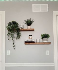 two wooden shelves with plants and books on them