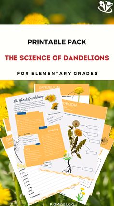 the science of dandelions printable pack for elementary and middle school students is shown